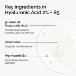 Acide Hyaluronique 2% + B5 (avec Céramides)